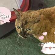 ヒメ日記 2026/05/05 21:26 投稿 あまね スピード梅田店