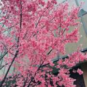 ヒメ日記 2026/03/03 09:23 投稿 えま ぐっすり山田 五反田店