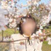 ヒメ日記 2026/03/29 10:03 投稿 最上ここあ 甲府回春アロマージュ