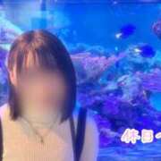 ヒメ日記 2026/04/18 19:02 投稿 最上ここあ 甲府回春アロマージュ