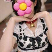 ヒメ日記 2026/02/22 13:41 投稿 佐倉あおい 五反田人妻城