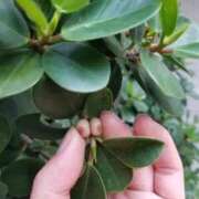 ヒメ日記 2026/02/12 15:36 投稿 大谷 川崎人妻城