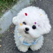 ヒメ日記 2026/02/11 12:46 投稿 らら 可憐な妻たち 高崎店