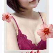 ヒメ日記 2026/03/03 15:59 投稿 坪井 鶯谷デッドボール