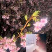 れい 💌´- Delyz（デリーズ）