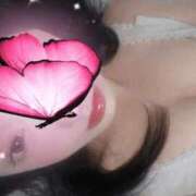 ヒメ日記 2026/04/14 08:57 投稿 れい Delyz（デリーズ）