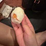 ヒメ日記 2026/02/16 19:34 投稿 ありす ドMなバニーちゃん すすきの店