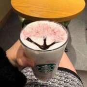 ヒメ日記 2026/02/18 15:05 投稿 ありす ドMなバニーちゃん すすきの店