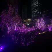 ヒメ日記 2026/03/07 15:29 投稿 める☆ピュアカワ未経験☆ アネキャンモード