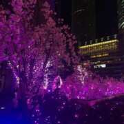 ヒメ日記 2026/03/07 15:26 投稿 あい でりどす