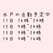 ヒメ日記 2026/04/06 08:50 投稿 るる ドリーム水戸