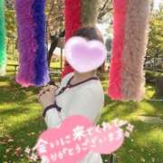 ヒメ日記 2026/04/16 04:25 投稿 紗也加（さやか） 熟女の風俗最終章 大宮店