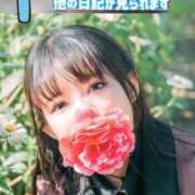 あとり - ̗̀📣あとりさんのお知らせ オペラ(吉原)