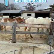 ヒメ日記 2026/04/11 10:52 投稿 あとり オペラ(吉原)