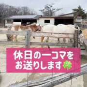 ヒメ日記 2026/04/11 21:12 投稿 あとり オペラ(吉原)