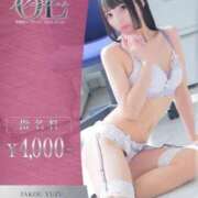 ヒメ日記 2026/03/14 12:37 投稿 蛇好　ゆず OLセレクション宇都宮店