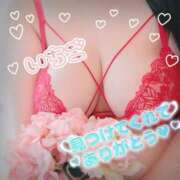 ヒメ日記 2026/02/13 10:05 投稿 いちご 群馬高崎前橋ちゃんこ