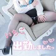 ヒメ日記 2026/02/15 10:35 投稿 いちご 群馬高崎前橋ちゃんこ