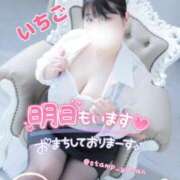 ヒメ日記 2026/02/16 00:35 投稿 いちご 群馬高崎前橋ちゃんこ