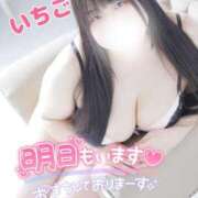 ヒメ日記 2026/02/17 02:25 投稿 いちご 群馬高崎前橋ちゃんこ