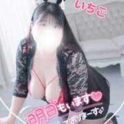 ヒメ日記 2026/02/18 02:55 投稿 いちご 群馬高崎前橋ちゃんこ