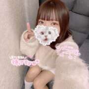 ヒメ日記 2026/02/14 13:26 投稿 りか 横浜コスプレデビュー（シンデレラグループ）