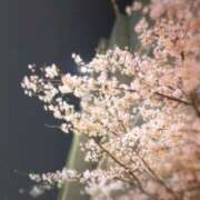 まこと 安らげる居場所をどうぞ ハピネス水戸