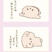 ヒメ日記 2026/03/12 09:59 投稿 うゆ アイドルドリーム