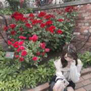 ヒメ日記 2026/07/02 12:17 投稿 うゆ アイドルドリーム