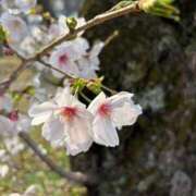 桃瀬 くるみ 桃瀬です🍑 CASA BIANCA（カーサ・ビアンカ）