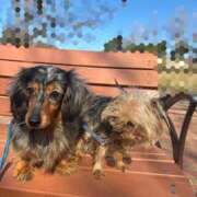 ヒメ日記 2026/03/08 20:39 投稿 める 岐阜美濃加茂・可児ちゃんこ