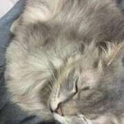 める 出勤の前日🎶 岐阜美濃加茂・可児ちゃんこ