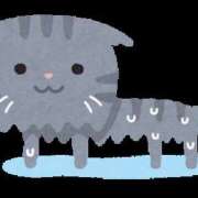 あまね にゃ〜〜〜〜ん ぱぴぷぺPOP