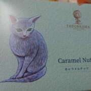 ヒメ日記 2026/02/16 07:46 投稿 るみ ジュエルズ