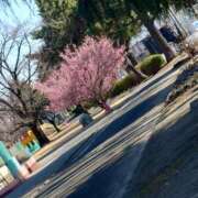 るみ ? ジュエルズ