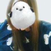 ヒメ日記 2026/02/22 09:16 投稿 るみ ジュエルズ