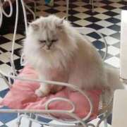 ヒメ日記 2026/02/22 20:46 投稿 るみ ジュエルズ