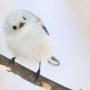 ヒメ日記 2026/03/02 13:01 投稿 るみ ジュエルズ