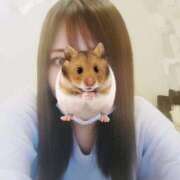 ヒメ日記 2026/03/09 17:16 投稿 るみ ジュエルズ