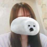 ヒメ日記 2026/03/11 14:46 投稿 るみ ジュエルズ