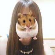 ヒメ日記 2026/03/15 15:31 投稿 るみ ジュエルズ