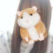 ヒメ日記 2026/03/16 07:46 投稿 るみ ジュエルズ