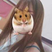 ヒメ日記 2026/03/27 09:16 投稿 るみ ジュエルズ