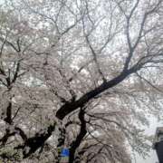 ヒメ日記 2026/04/10 17:46 投稿 るみ ジュエルズ