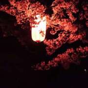 ヒメ日記 2026/04/14 08:01 投稿 るみ ジュエルズ