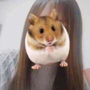 ヒメ日記 2026/04/18 09:16 投稿 るみ ジュエルズ