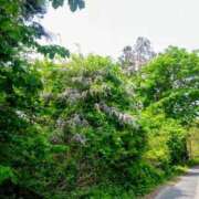 ヒメ日記 2026/04/23 22:46 投稿 るみ ジュエルズ