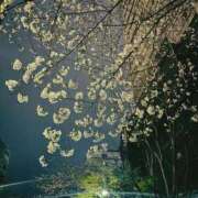 ヒメ日記 2026/03/31 00:32 投稿 舐升 穴美 性の極み妻 好き者たちの宴