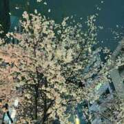 ヒメ日記 2026/03/31 23:32 投稿 舐升 穴美 性の極み妻 好き者たちの宴