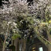 ヒメ日記 2026/04/03 19:07 投稿 舐升 穴美 性の極み妻 好き者たちの宴